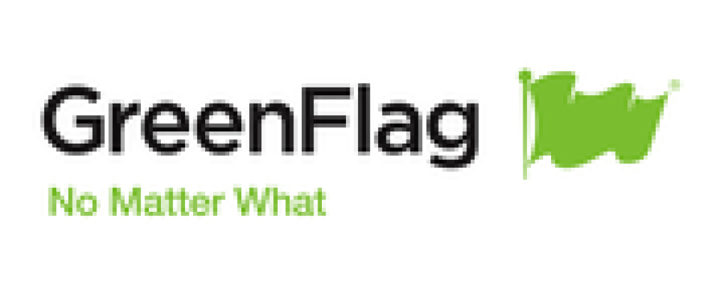 Green Flag Logo - Brandspeak Market Research Agency