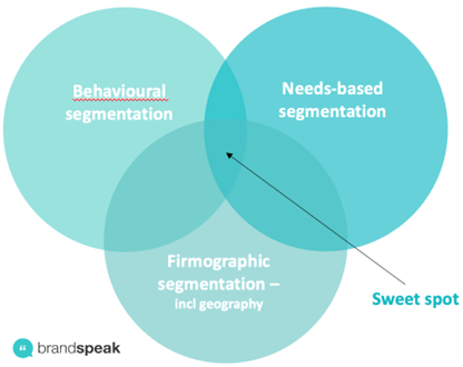 What Is B2B Segmentation? Your Questions Answered Brand Speak Market Research